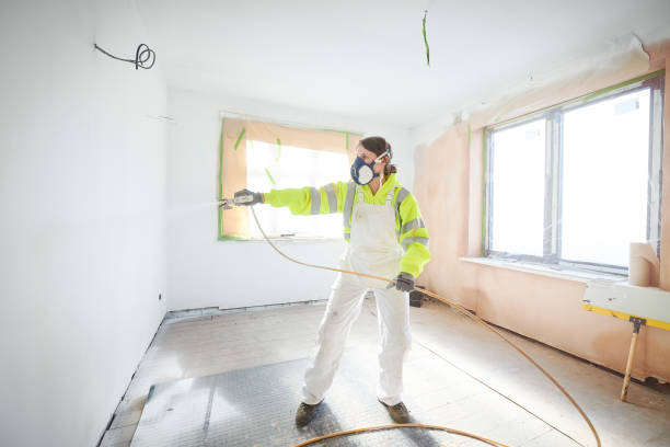 Best Water Damage & Mold Remediation  in Hudson, CO