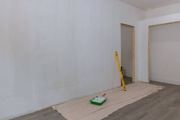 Best Mold Odor Removal Services  in Hudson, CO