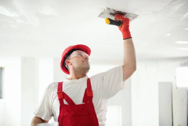 Best Mold Damage Restoration  in Hudson, CO