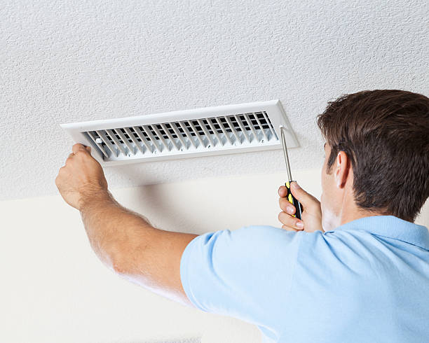 Best Mold-Related Health Consultation  in Hudson, CO