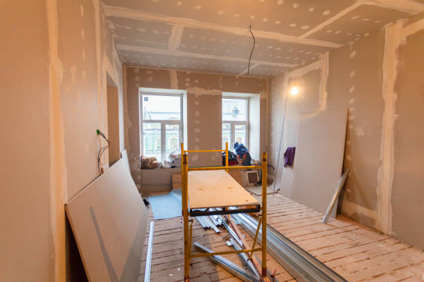 Best Crawl Space Mold Remediation  in Hudson, CO
